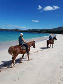 Costa Rica-Guanacaste-Costa Rica Silver Saddles Tour